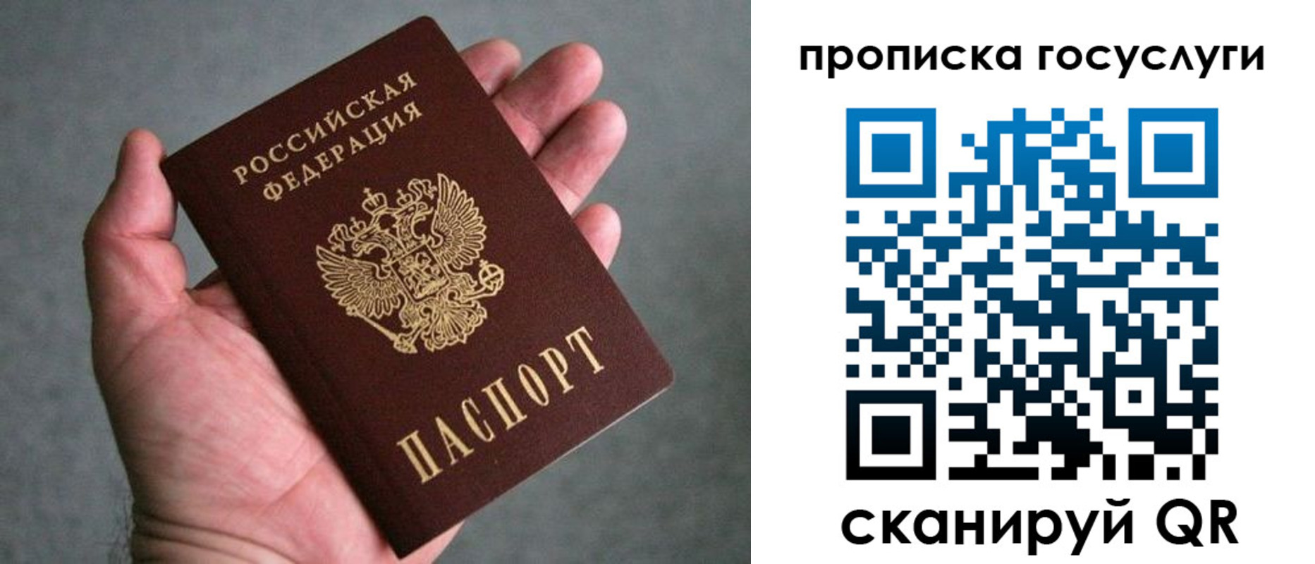 прописка 2025 в Партизанске